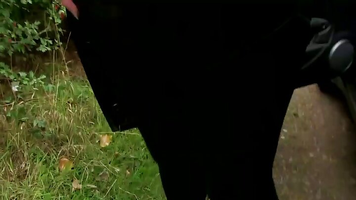 কৃষ্ণাঙ্গ পুরুষেরা এক কামুক বেশ্যাকে নির্মমভাবে দুই লিঙ্গ দিয়ে চোদে