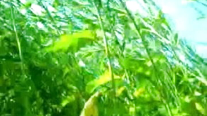 লালচুলী এক নারী একজন কৃষ্ণাঙ্গ পুরুষের সাথে যৌনমিলন উপভোগ করে